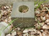 image of grave number 683955